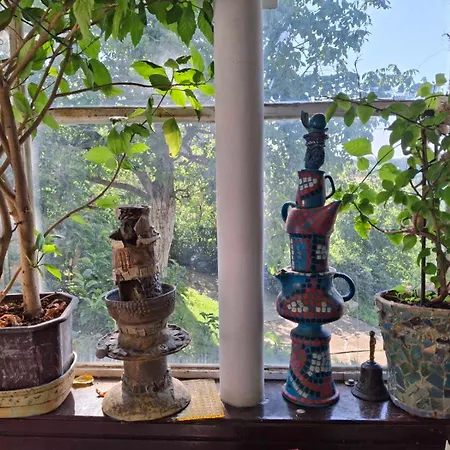 Apartment - Garden View & Art Gallery Belgrade