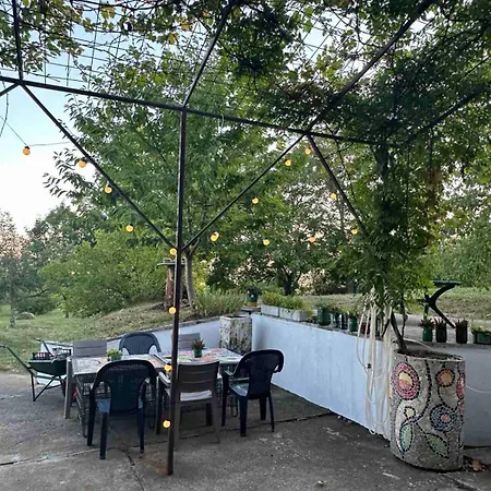 - Garden View & Art Gallery