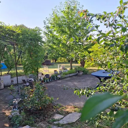 Apartment - Garden View & Art Gallery Belgrade