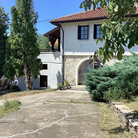 - Garden View & Art Gallery *